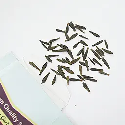 Dahlia Variabillis Top Star Beauty Mix Seeds