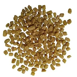 Methi Fenugreek | Vegetable Seeds