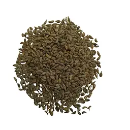 Parsley Herb Seeds