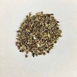 Chrysanthemum Maximum Alaska Color Flower Seeds