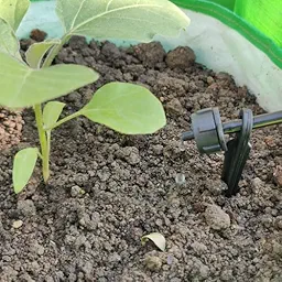 Drip Irrigation Kit for 30 Plants : Efficient and Easy Gardening