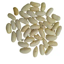 Climbing Beans Golden Wax | Exotic Vegetable Seeds
