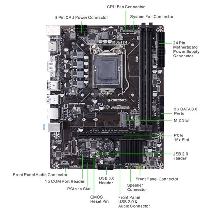 Buy ZEBRONICS H310 D4M2 Micro-ATX Motherboard LGA 1151 Socket