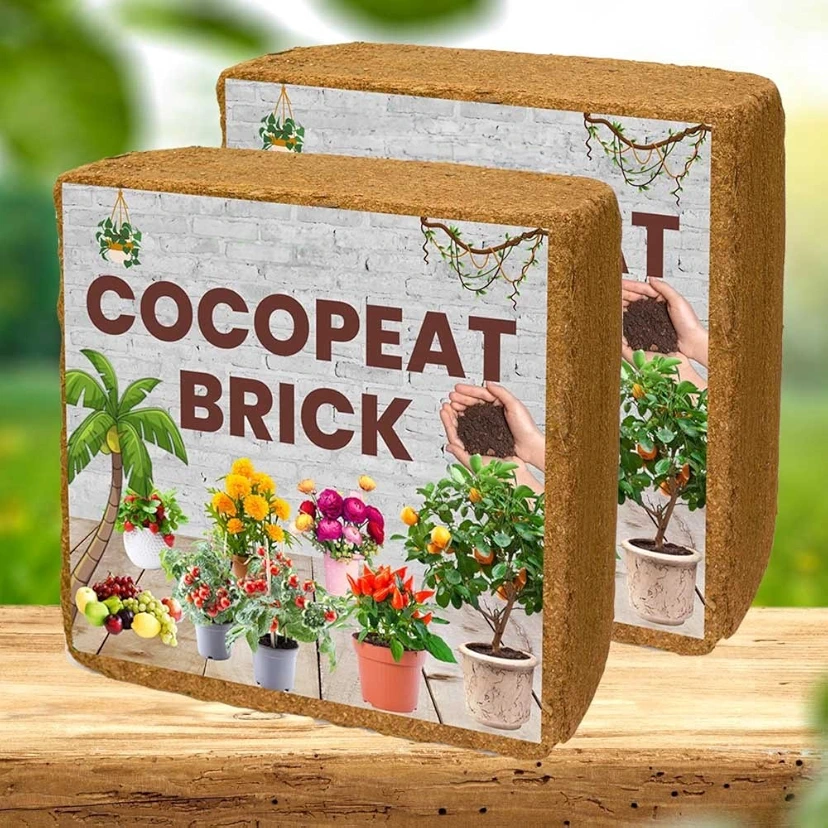 Cocopeat Brick 10 kg Block for Gardening