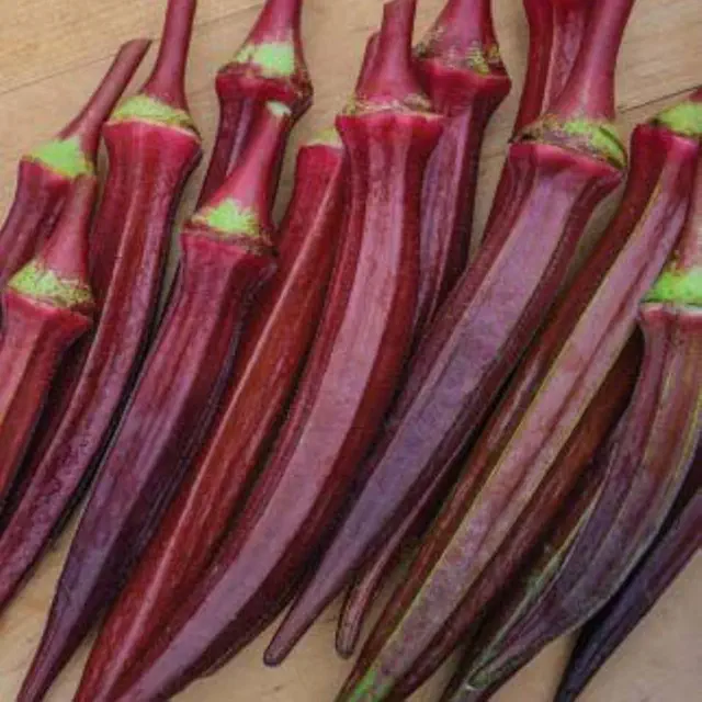 Organic Long Red Okra Seeds - Open Pollinated