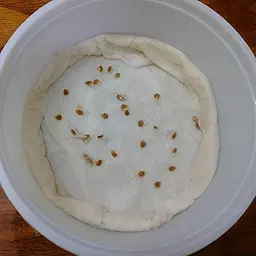 Desi Tomato (Tamatar) Seeds (देशी टमाटर के बीज)