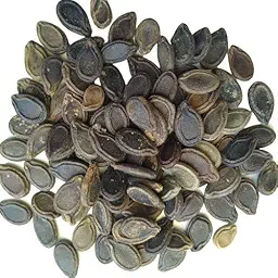 Tinda Round Gourd | Vegetable Seeds