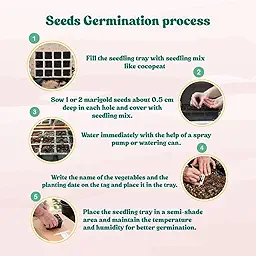 Marigold Orange Flower Seeds – 100 Genda Seeds | Organic, Easy to Grow | Terrace Garden