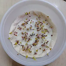 Brussels Sprouts Seeds (ब्रसेल्स स्प्राउट्स के बीज)