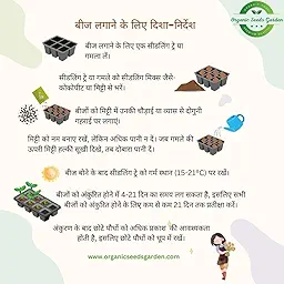 Brussels Sprouts Seeds (ब्रसेल्स स्प्राउट्स के बीज)