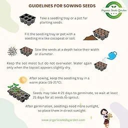 Brussels Sprouts Seeds (ब्रसेल्स स्प्राउट्स के बीज)