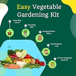 Easy Vegetable Gardening Kit for Home Garden