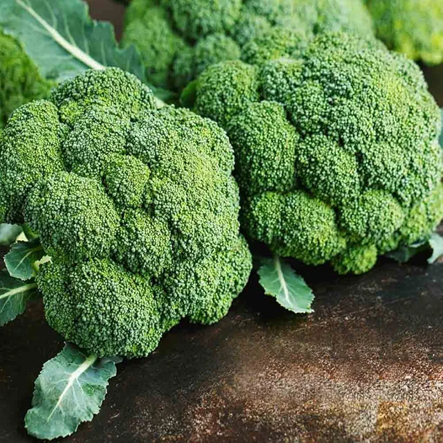 Premium Broccoli Seeds for Organic Harvest (Hari Gobhi/हरी गोभी/ब्रोकली के बीज)