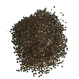 Larkspur Fire Mixed Color Flower Seeds