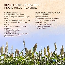 Noon to Moon Popped Bajra (75g)