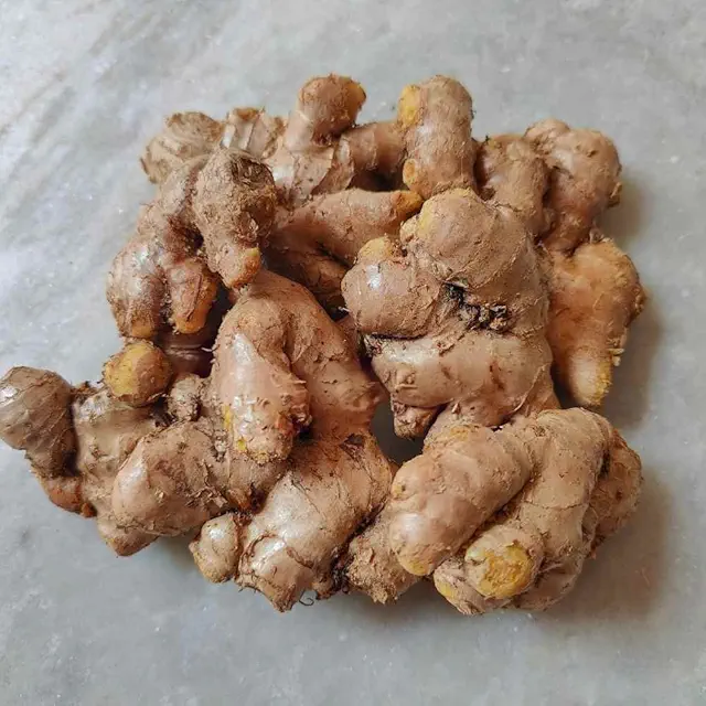 Ginger (Adrak) Rhizome/Root/Seeds For Planting/Growing/Sowing (400 g)