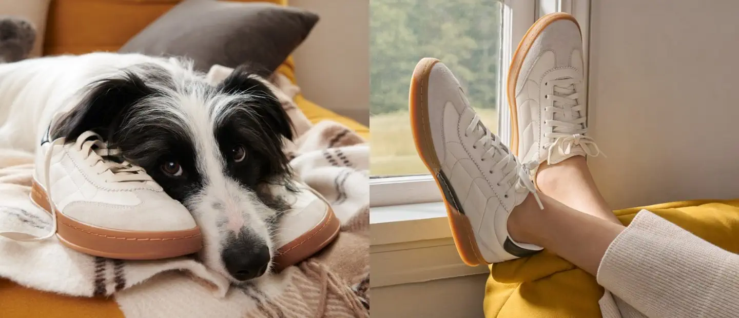 Women's Cole Haan Grandpro Breakaway Sneakers | Zappos.com